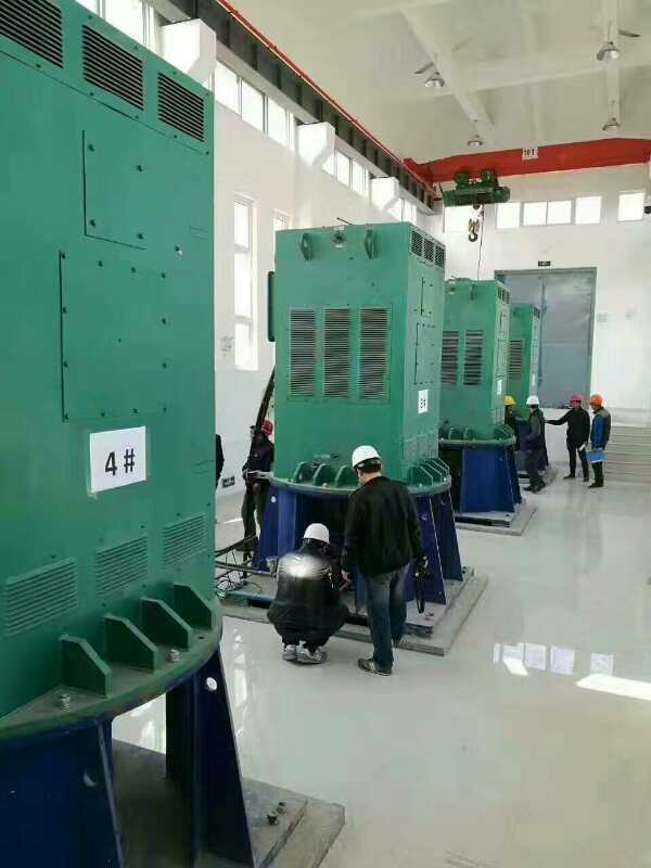 YKK6302-8某污水处理厂使用我厂的立式高压电机安装现场