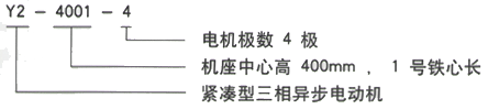 YR系列(H355-1000)高压YKK6302-8三相异步电机西安西玛电机型号说明